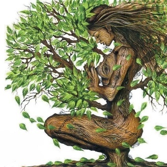 Beautiful Girl In The Shape Of A Tree