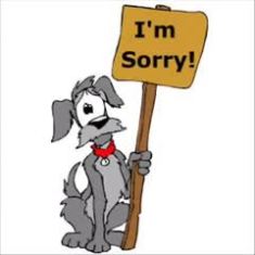Dog With A Sign I Am Sorry     