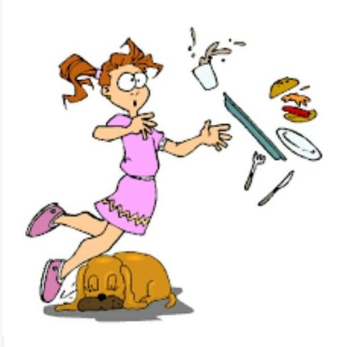 Inattentive Girl Stumbles On A Dog And Drops The Food Plate On The Ground