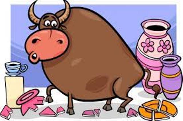 Like A Bull In A China Shop English Idiom