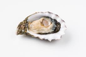 Oyster